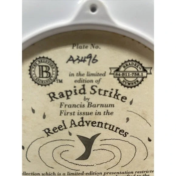 Bradford Exchange Rapid Strike Fishing Fisherman and Fish Decorative Plate - Picture 9 of 15